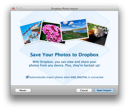 dropbox automatic photo import