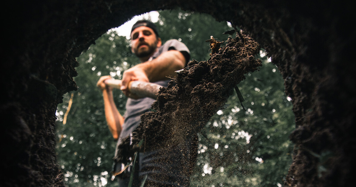 Do your job. Dig. Find out what is happening.